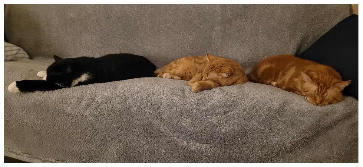 Group Nap