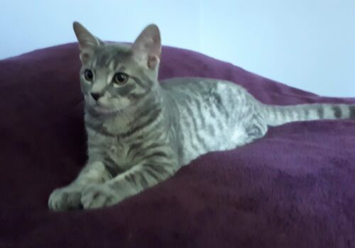 Kevin starts a new life, in a new town (big city boy!), with Chris and Danielle. A match made in Appin!