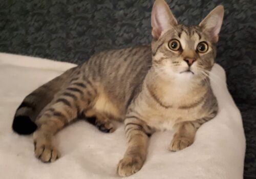 Ben begins the next chapter with Syndee - these two make a great couple!