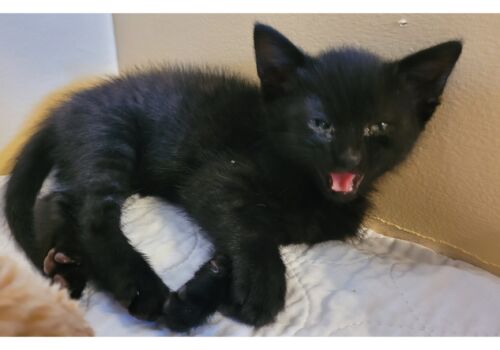 Pip joins Jacqui, the family, and the zoo to (almost) complete the picture! There's gotta be room for one more!